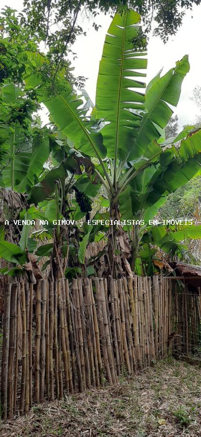 Chácara, 5 quartos, 2 hectares - Foto 22