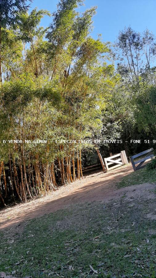 Chácara, 5 quartos, 2 hectares - Foto 12