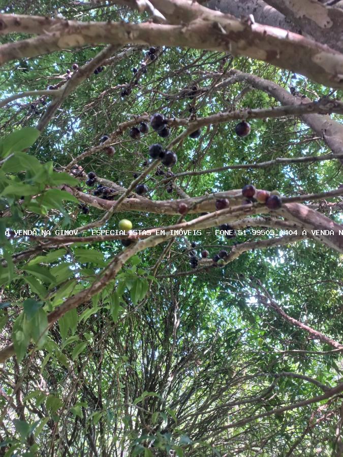 Chácara, 5 quartos, 2 hectares - Foto 23