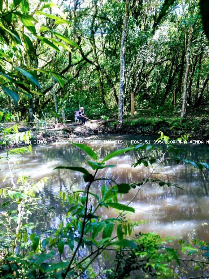 Chácara, 5 quartos, 2 hectares - Foto 26