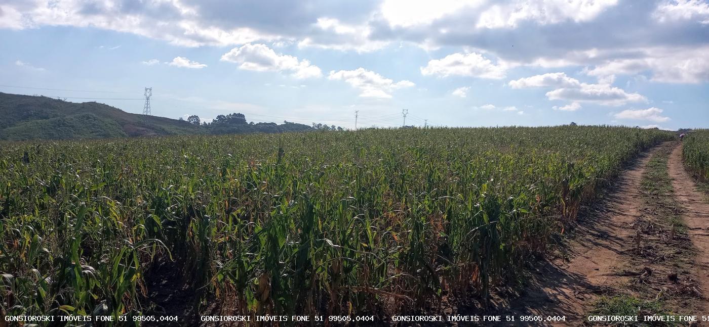 Loteamento e Condomínio, 37 hectares - Foto 19