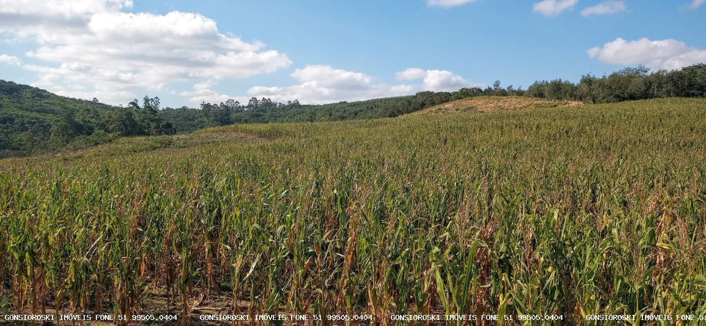 Loteamento e Condomínio, 37 hectares - Foto 12