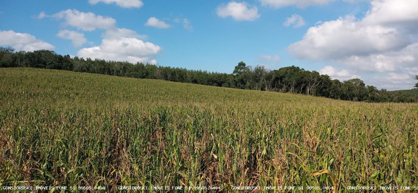 Loteamento e Condomínio, 37 hectares - Foto 11