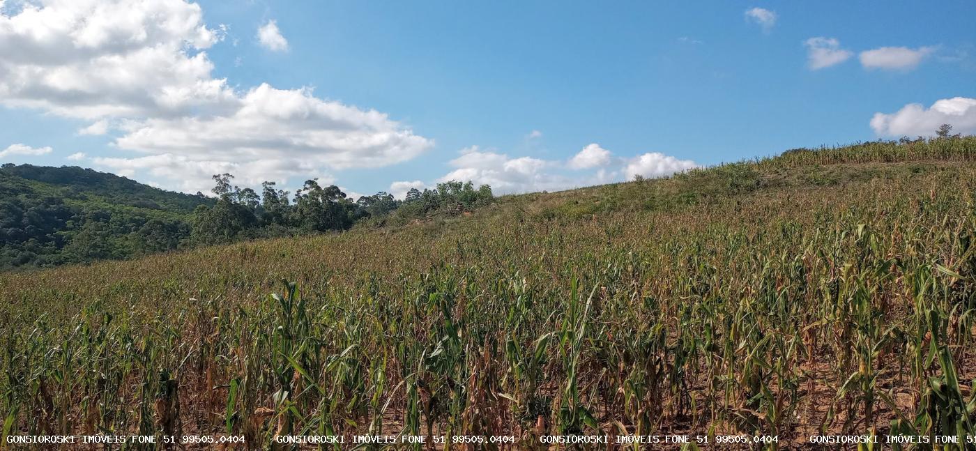 Loteamento e Condomínio, 37 hectares - Foto 7