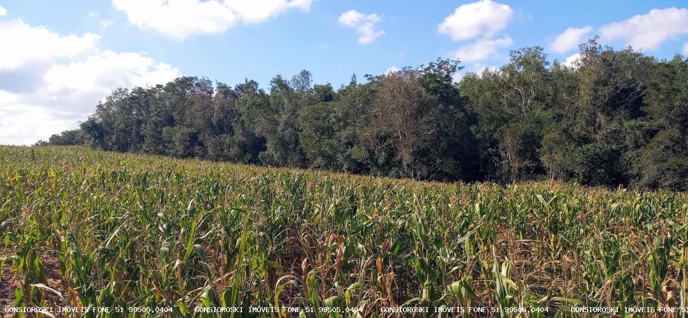Loteamento e Condomínio, 37 hectares - Foto 17