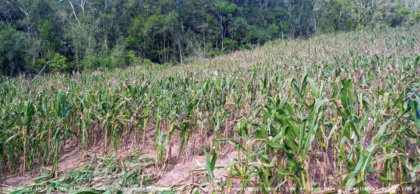 Loteamento e Condomínio, 37 hectares - Foto 4