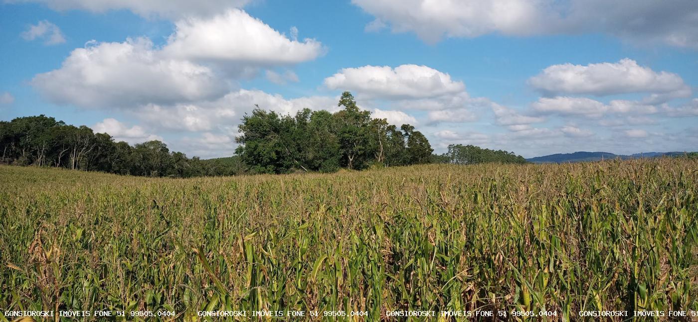 Loteamento e Condomínio, 37 hectares - Foto 10