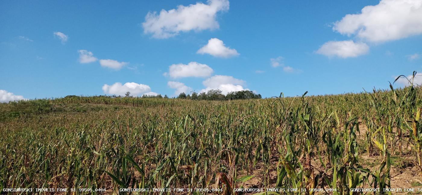 Loteamento e Condomínio, 37 hectares - Foto 8