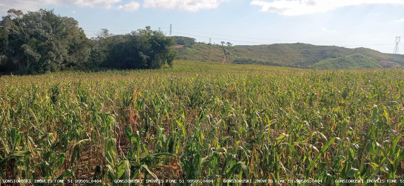 Loteamento e Condomínio, 37 hectares - Foto 20