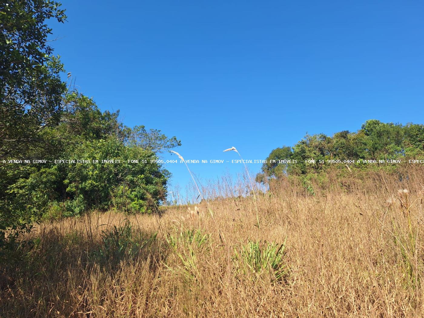 Loteamento e Condomínio, 5 hectares - Foto 14