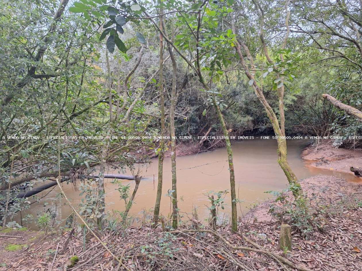 Chácara, 2 quartos, 6790 m² - Foto 15