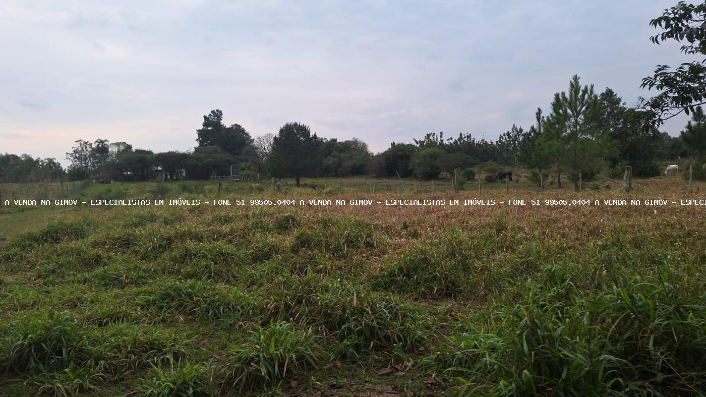 Chácara, 2 quartos, 6790 m² - Foto 6