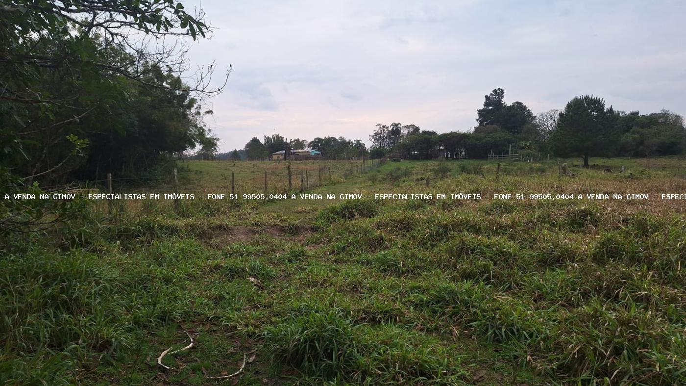 Chácara, 2 quartos, 6790 m² - Foto 5