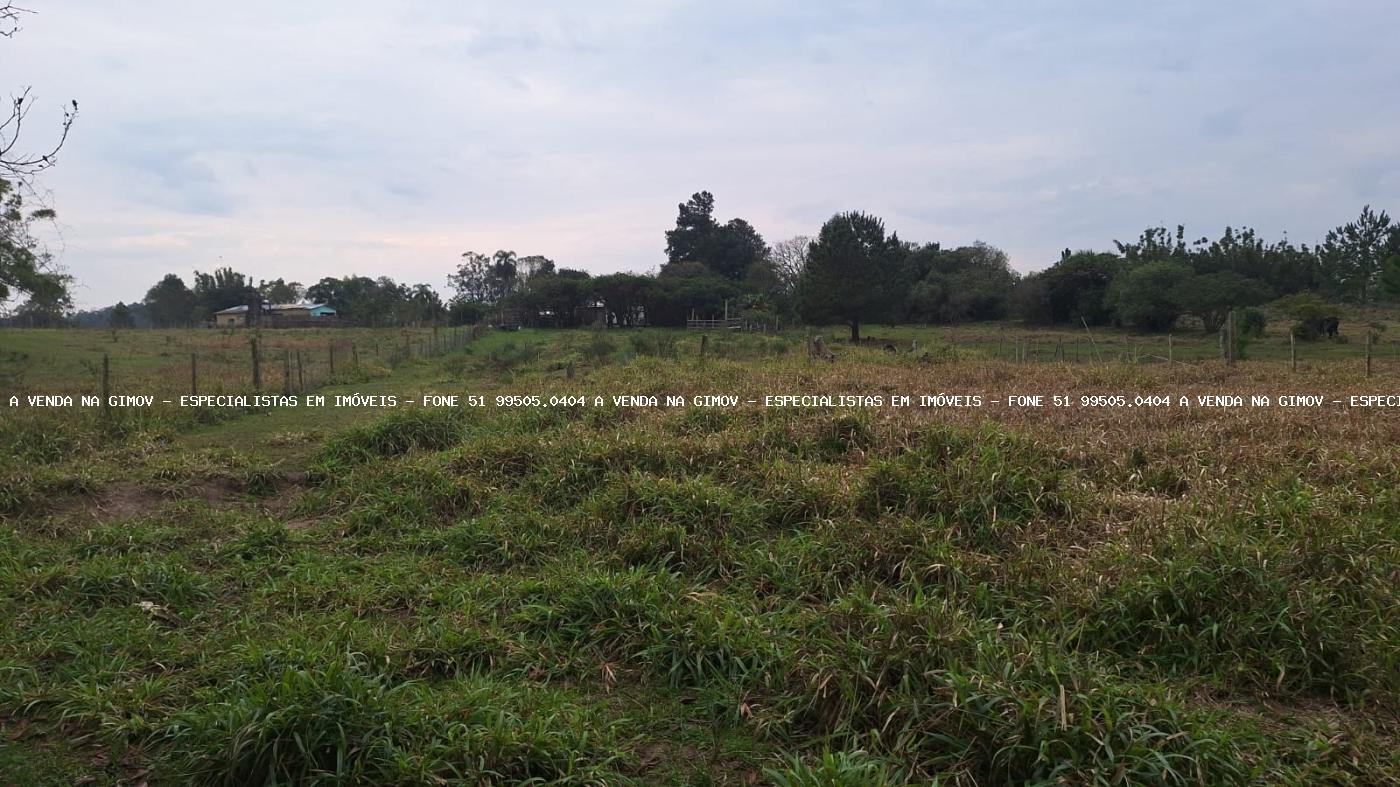 Chácara, 2 quartos, 6790 m² - Foto 8