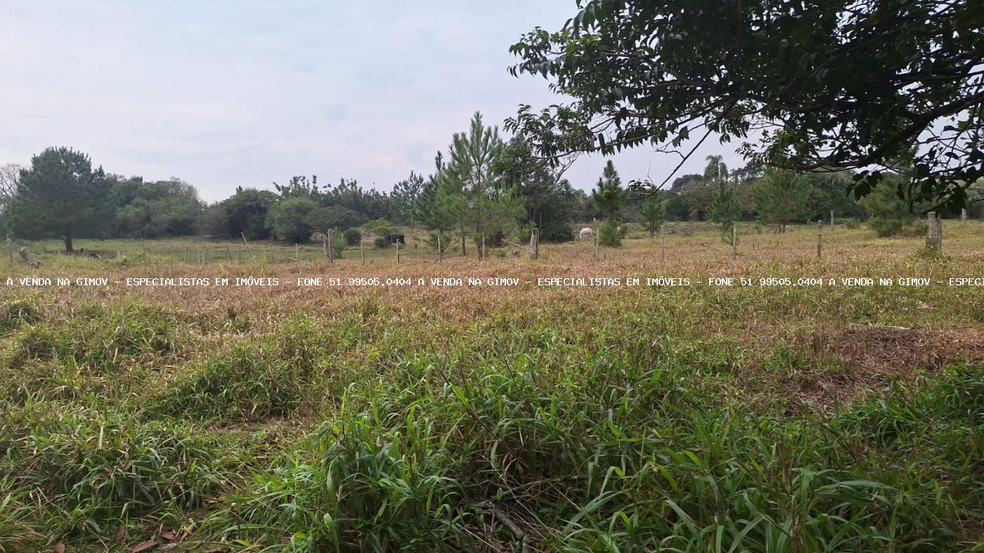 Chácara, 2 quartos, 6790 m² - Foto 7