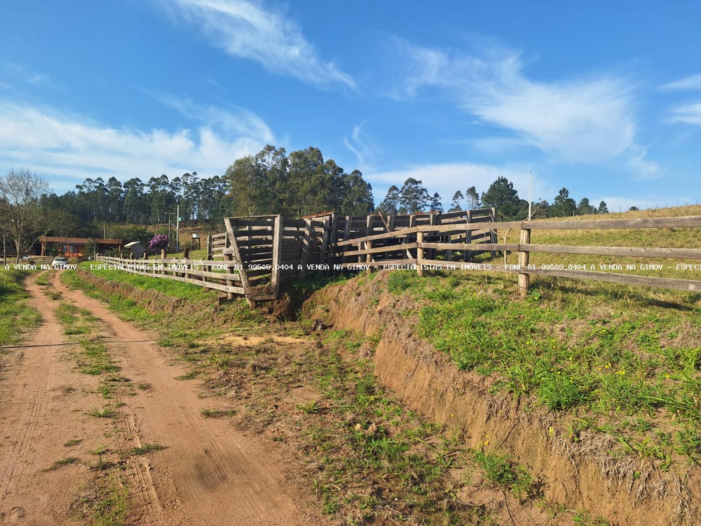 Fazenda, 8 hectares - Foto 32