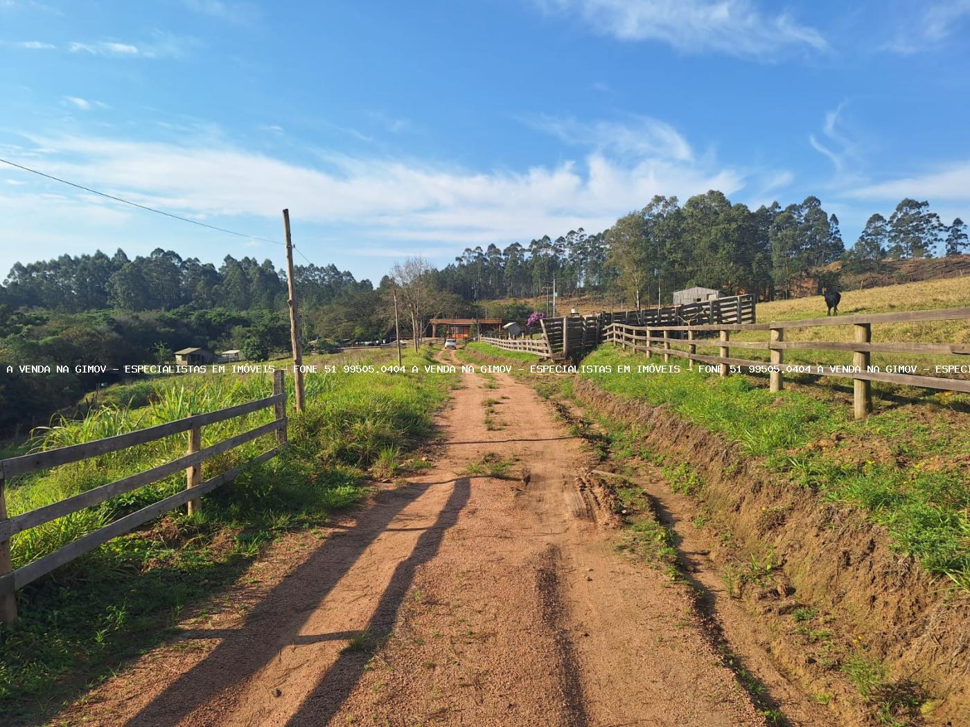 Fazenda, 8 hectares - Foto 33
