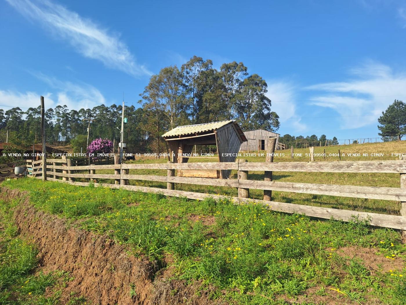 Fazenda, 8 hectares - Foto 34