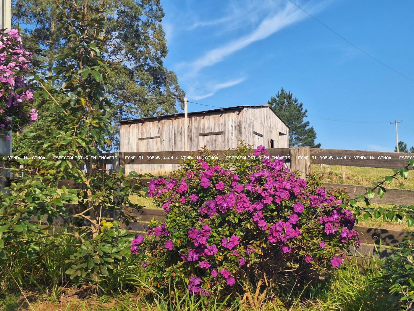 Fazenda, 8 hectares - Foto 20