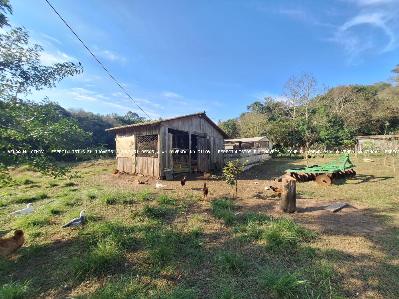 Fazenda, 8 hectares - Foto 27