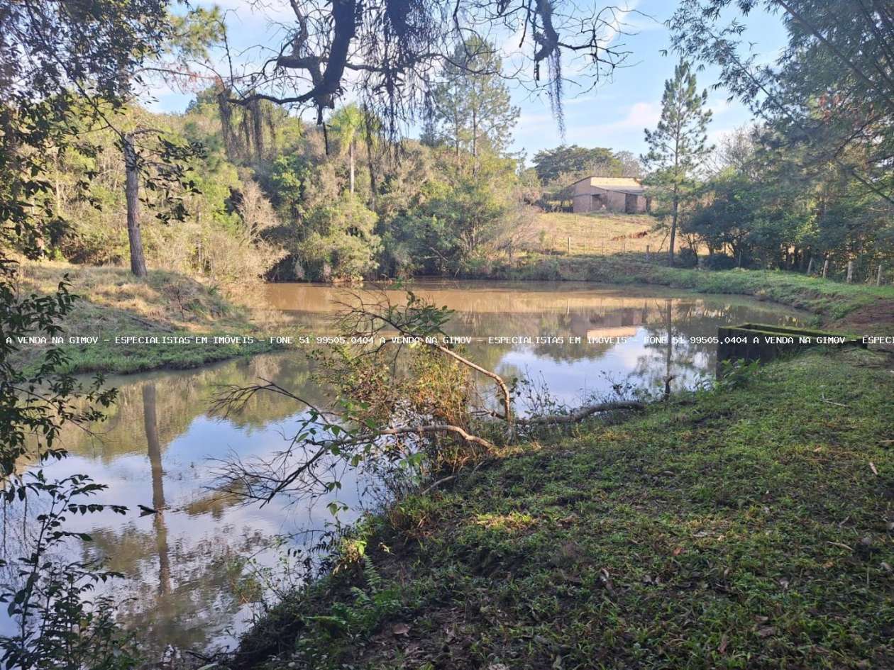Fazenda, 8 hectares - Foto 28