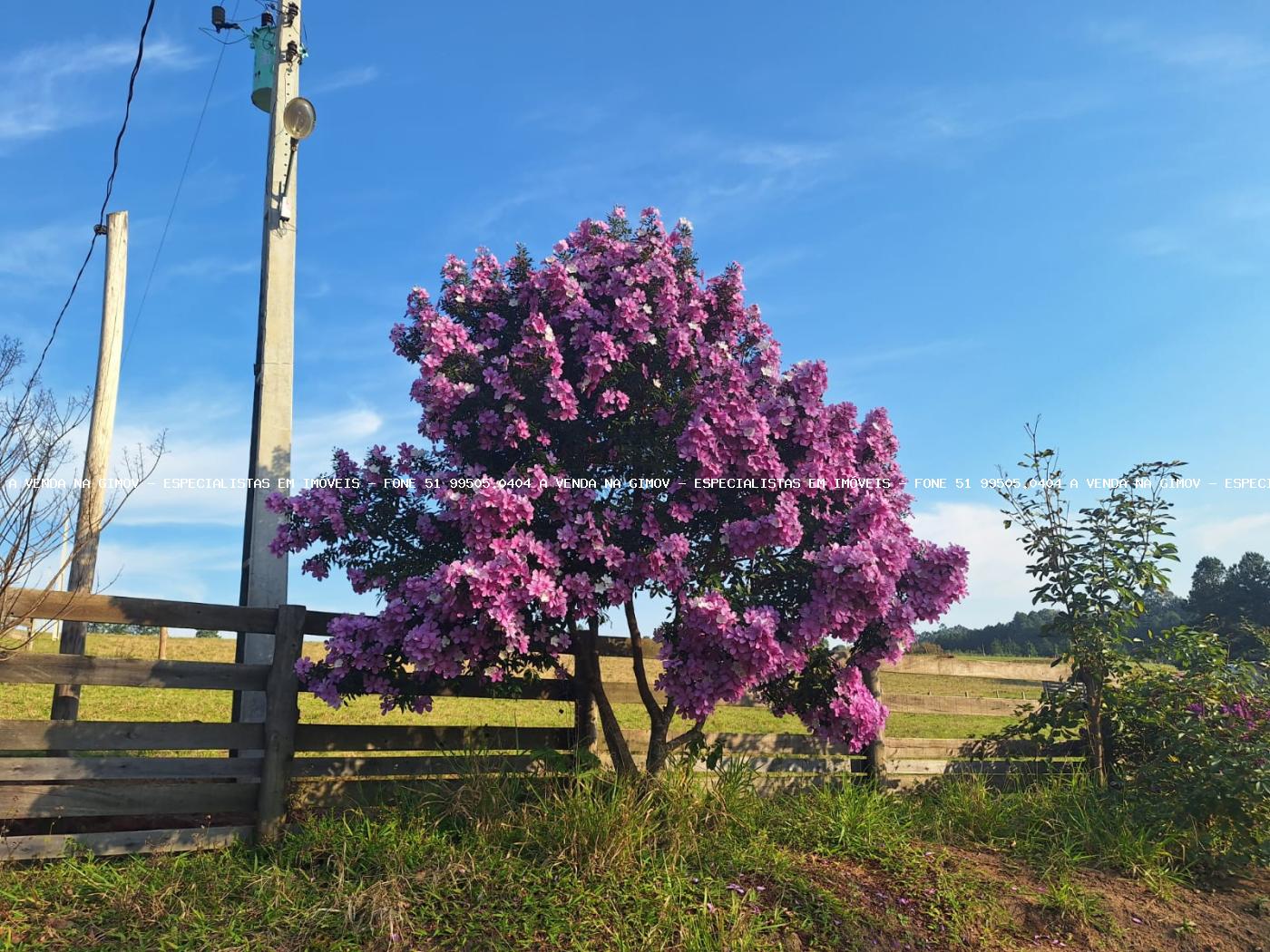 Fazenda, 8 hectares - Foto 49