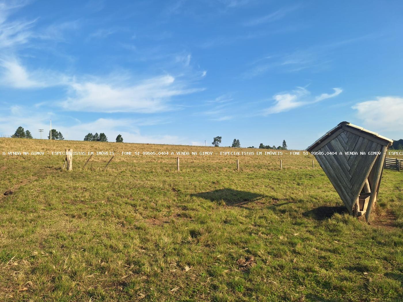 Fazenda, 8 hectares - Foto 35