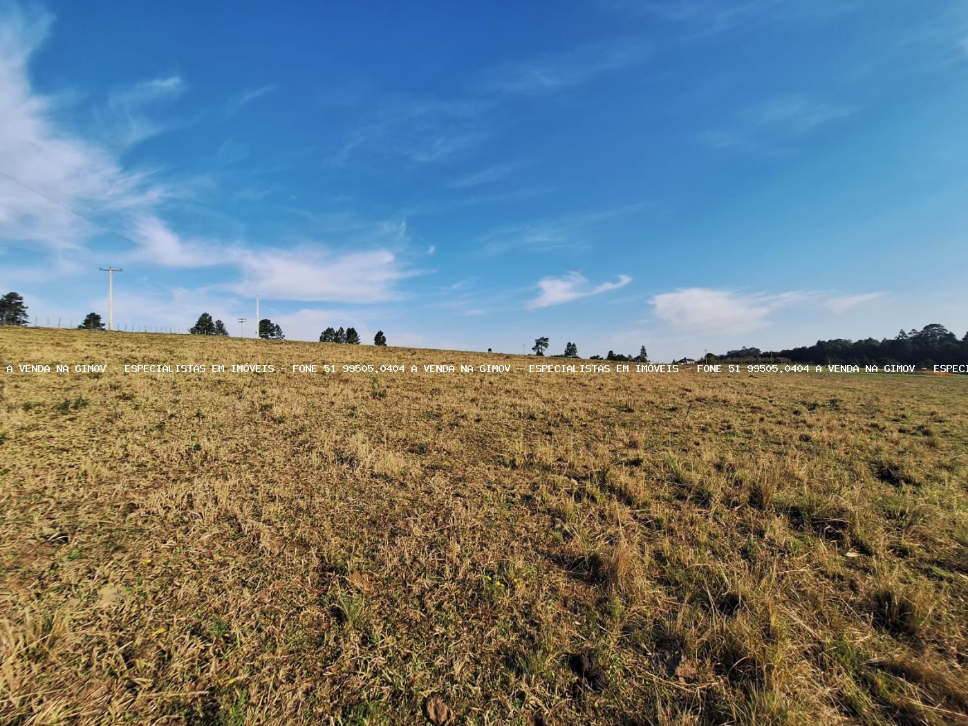 Fazenda, 8 hectares - Foto 36