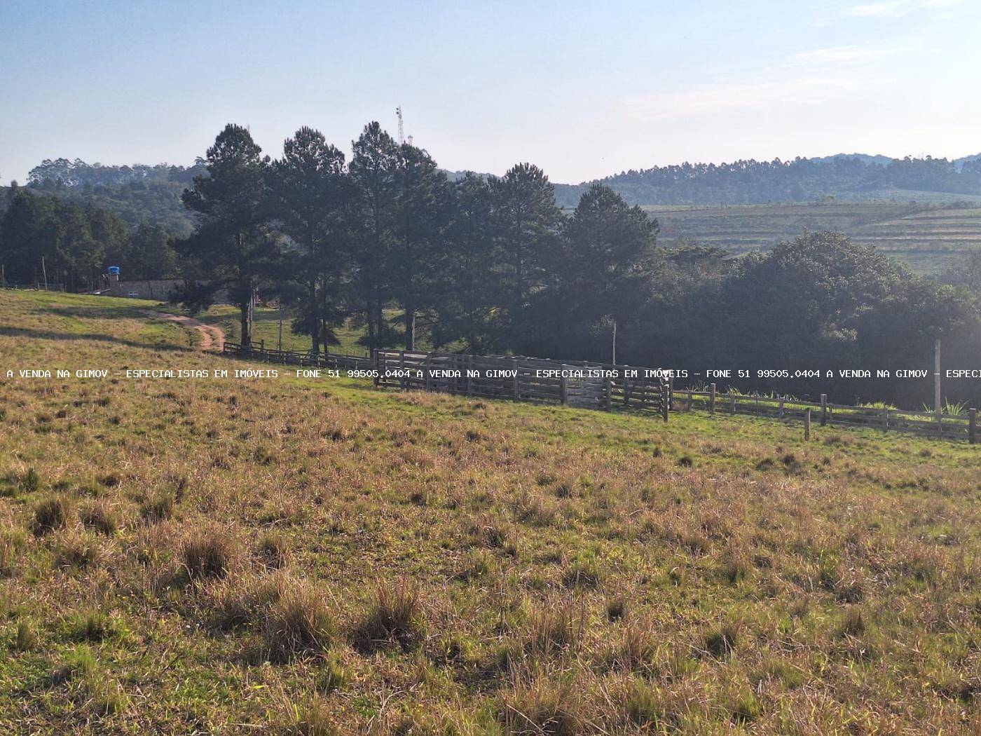 Fazenda, 8 hectares - Foto 37