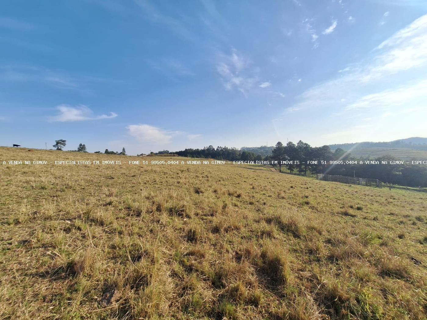 Fazenda, 8 hectares - Foto 38