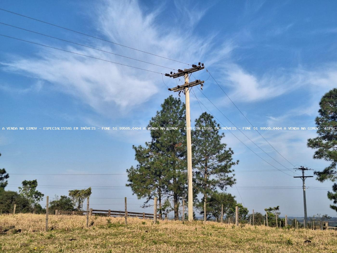 Fazenda, 8 hectares - Foto 48
