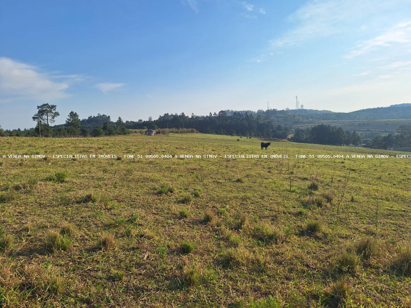 Fazenda, 8 hectares - Foto 39