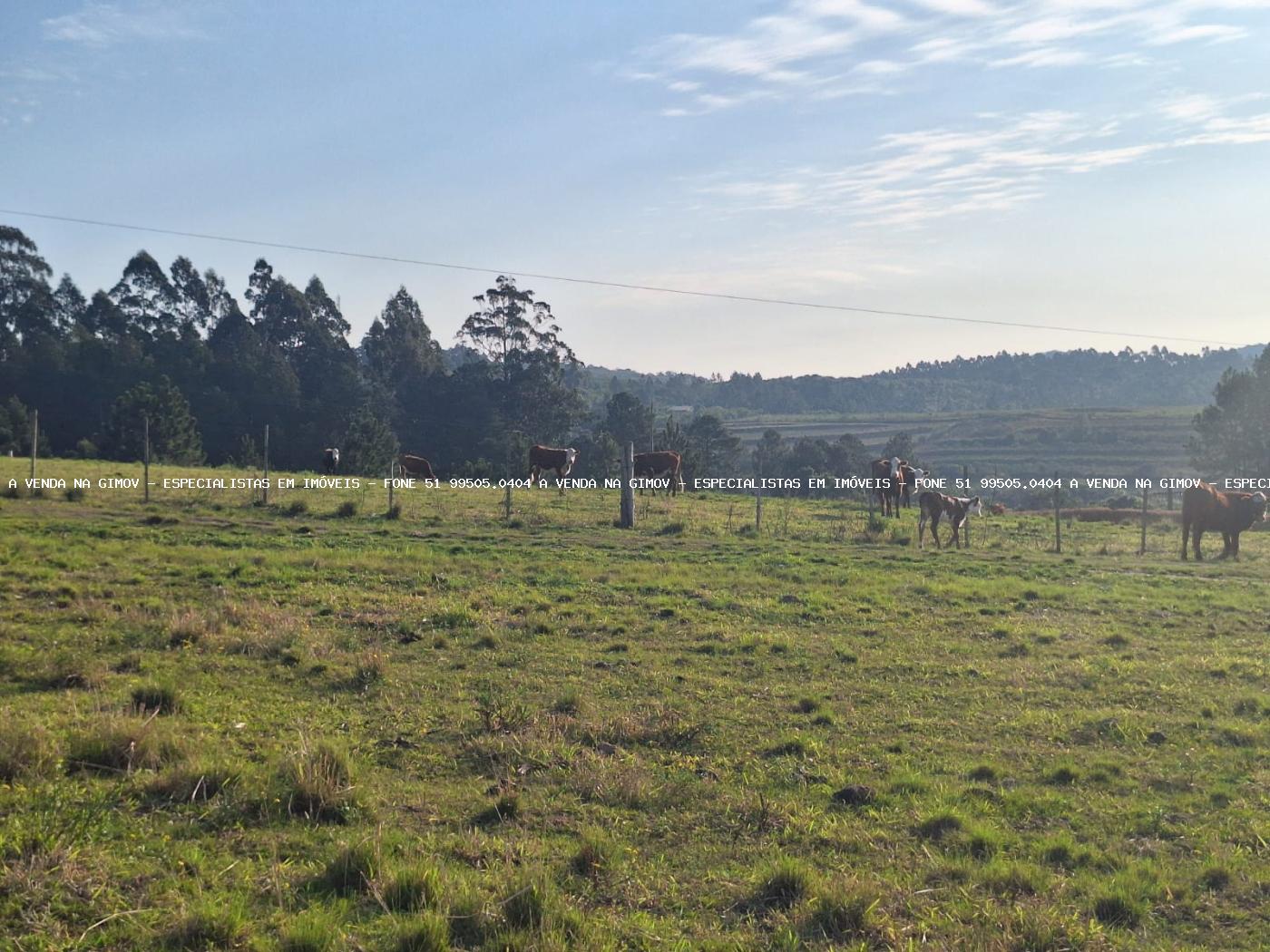 Fazenda, 8 hectares - Foto 40