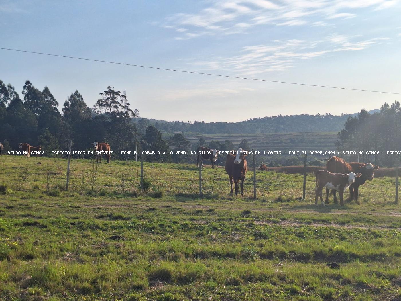 Fazenda, 8 hectares - Foto 41