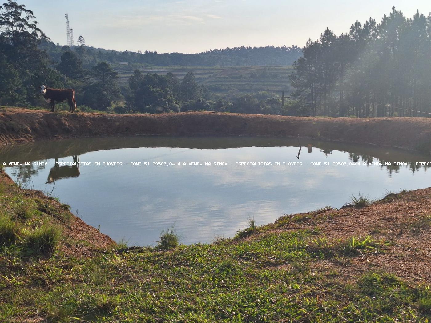 Fazenda, 8 hectares - Foto 29