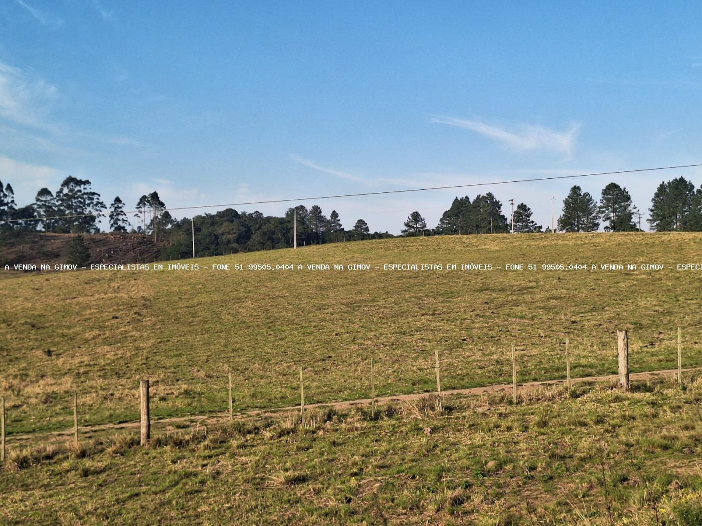 Fazenda, 8 hectares - Foto 43