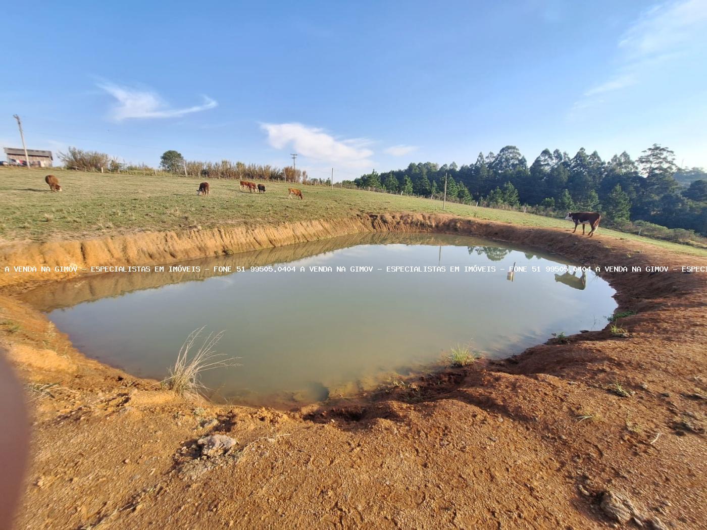 Fazenda, 8 hectares - Foto 30