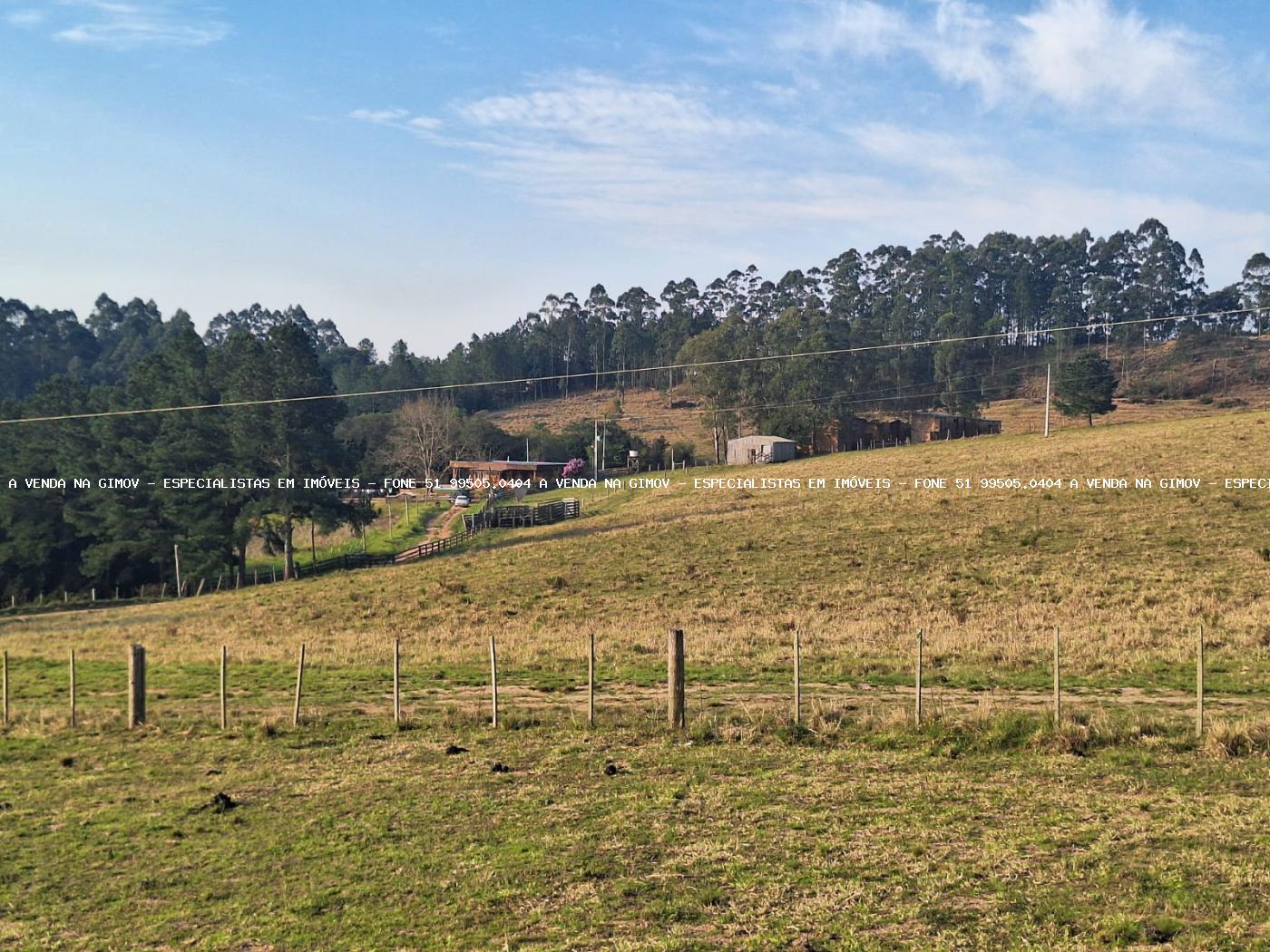Fazenda, 8 hectares - Foto 44