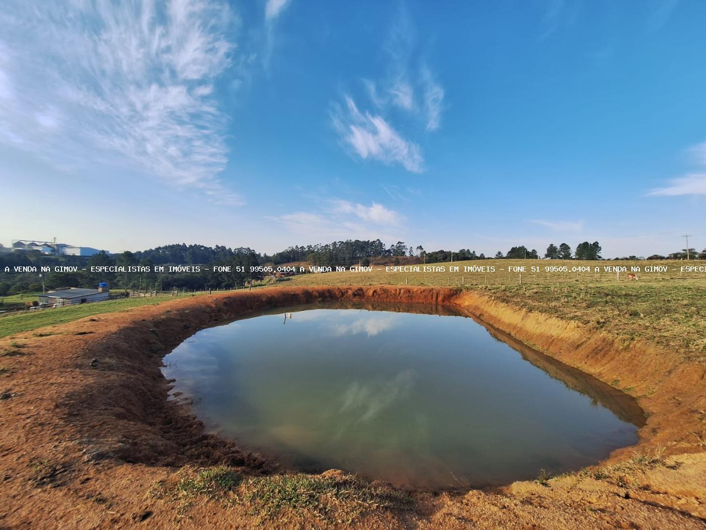 Fazenda, 8 hectares - Foto 31