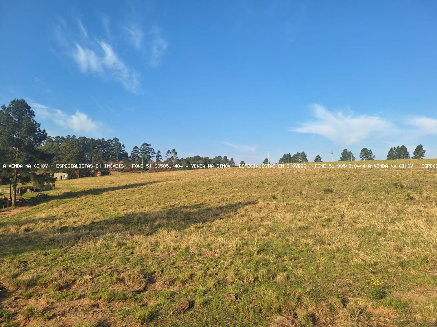 Fazenda, 8 hectares - Foto 47