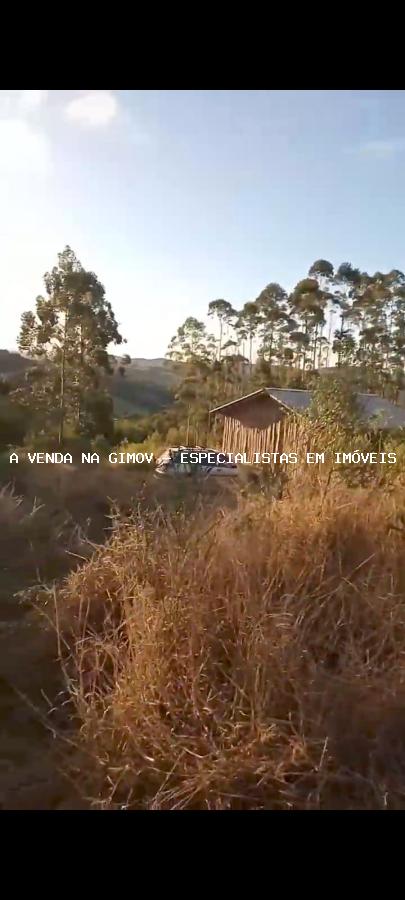 Chácara, 5000 m² - Foto 4