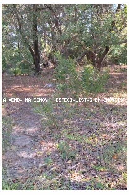 Terreno, 483 m² - Foto 1