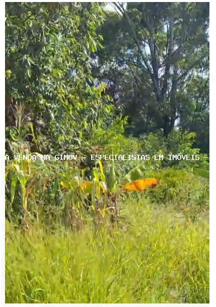 Terreno, 483 m² - Foto 3