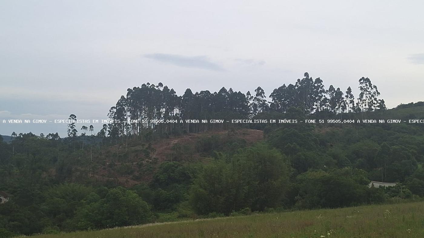 Loteamento e Condomínio, 32 hectares - Foto 10