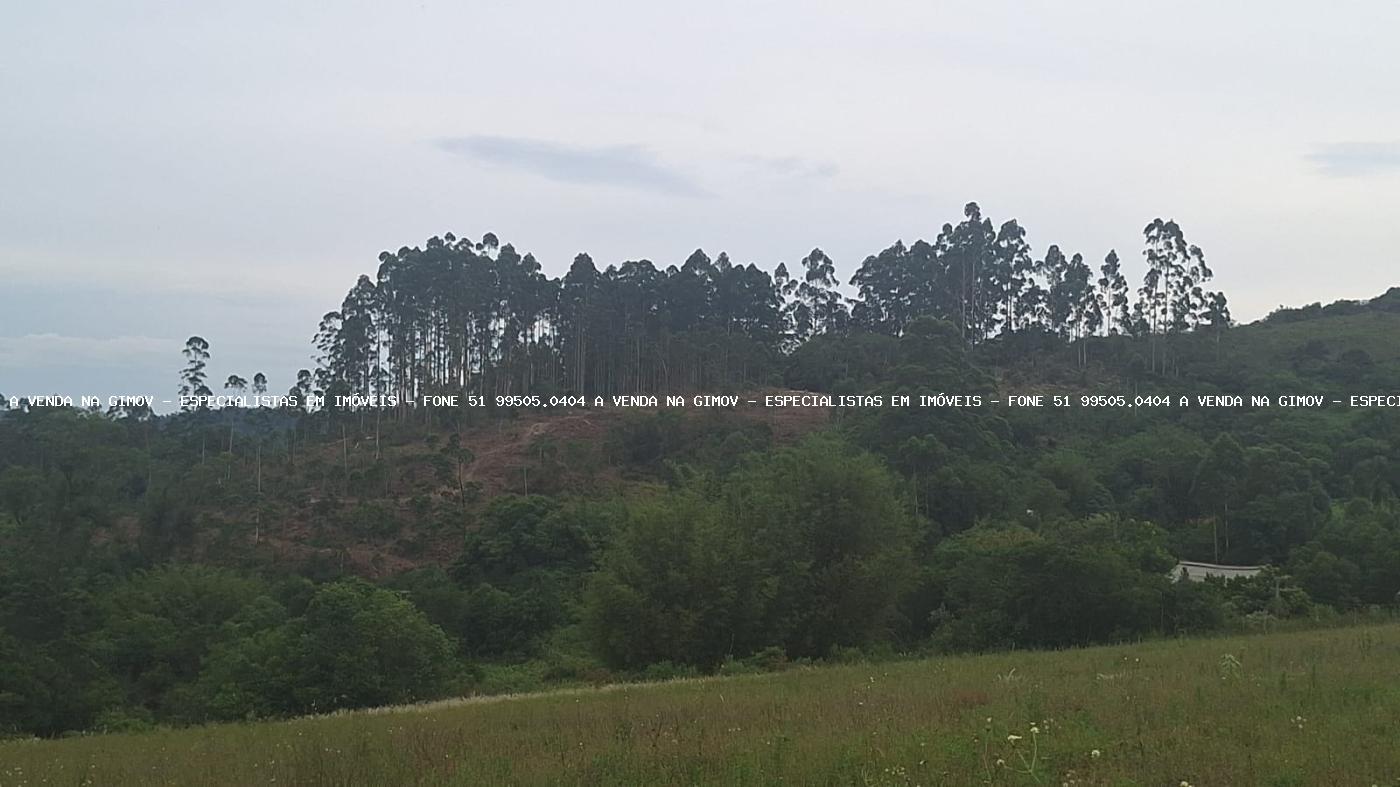 Loteamento e Condomínio, 32 hectares - Foto 11