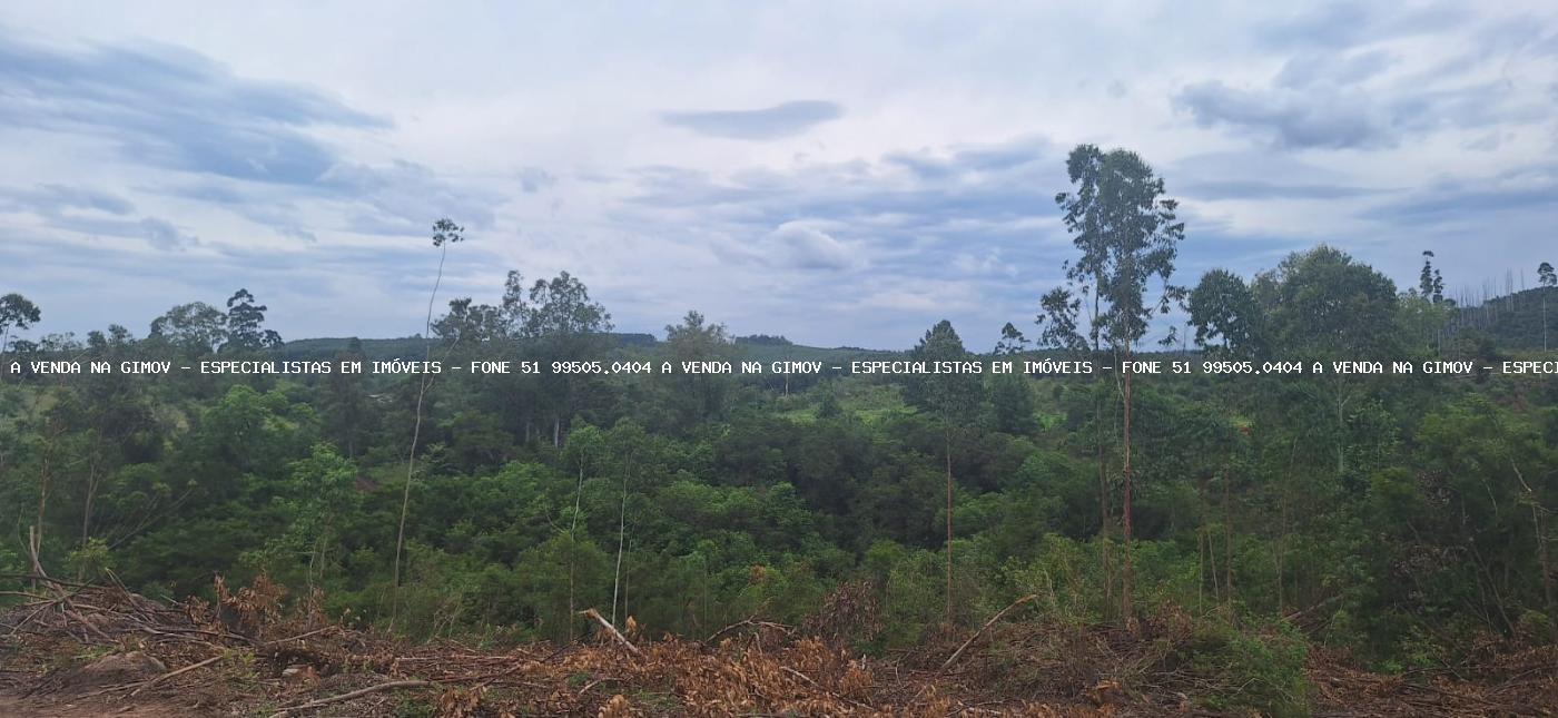 Loteamento e Condomínio, 32 hectares - Foto 16