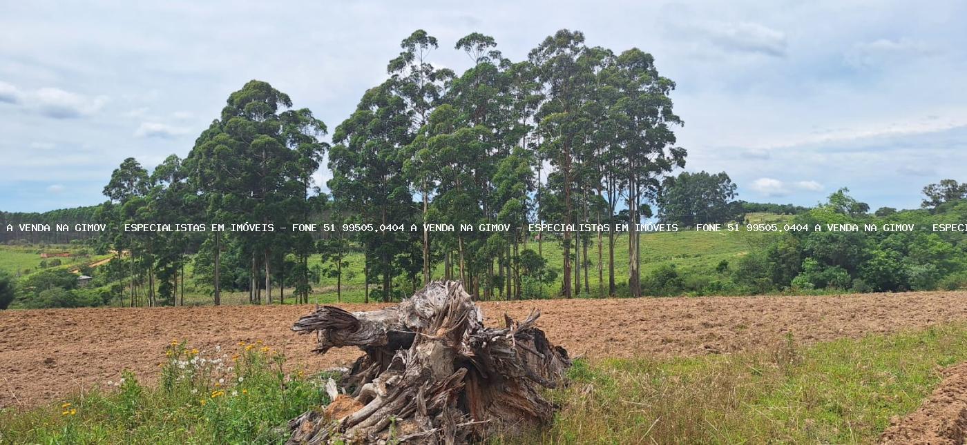 Chácara, 3 quartos, 2 hectares - Foto 19