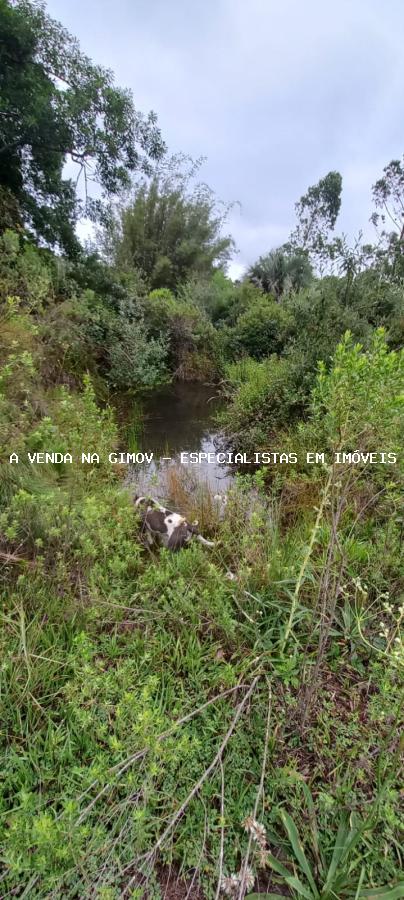 Sítio, 3 quartos, 3 m² - Foto 9