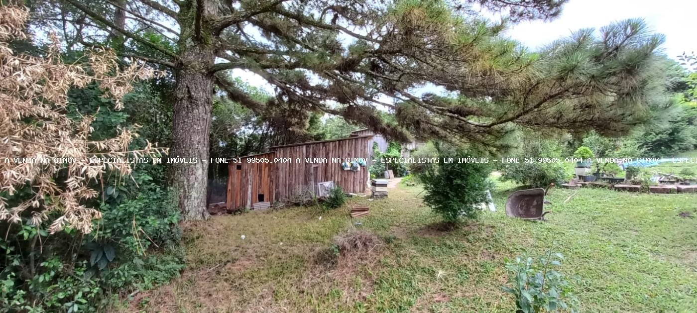 Sítio, 3 quartos, 3 m² - Foto 6