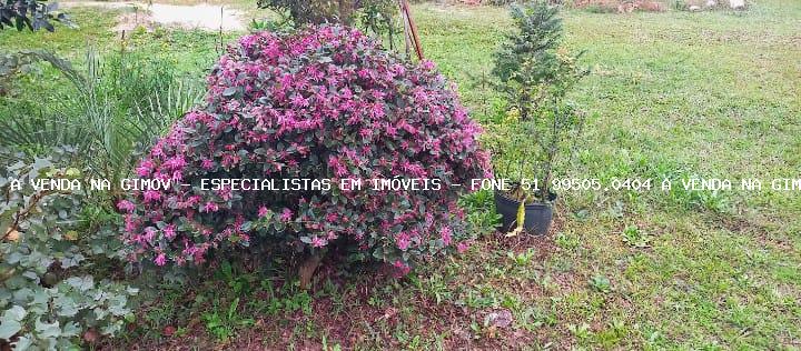 Sítio, 3 quartos, 3 m² - Foto 23